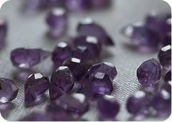 Maha Rudarkash Pooja